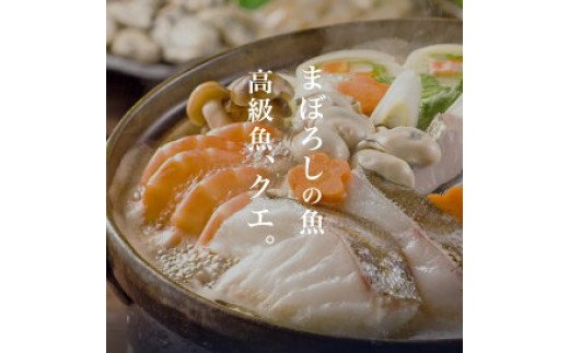 天然 クエ鍋 500g くえ鍋セット 幻の魚 魚 くえ鍋専門店 鍋用 上品 安定の品質 和歌山 湯浅町 _R1002
