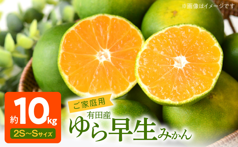 【2026年先行予約】有田みかん 約10kg ご家庭用 和歌山 ゆら早生 極早生 (SS、Sサイズ)【湯浅町】_AT6255n