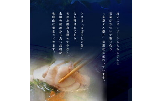 天然 クエ鍋 500g くえ鍋セット 幻の魚 魚 くえ鍋専門店 鍋用 上品 安定の品質 和歌山 湯浅町 _R1002