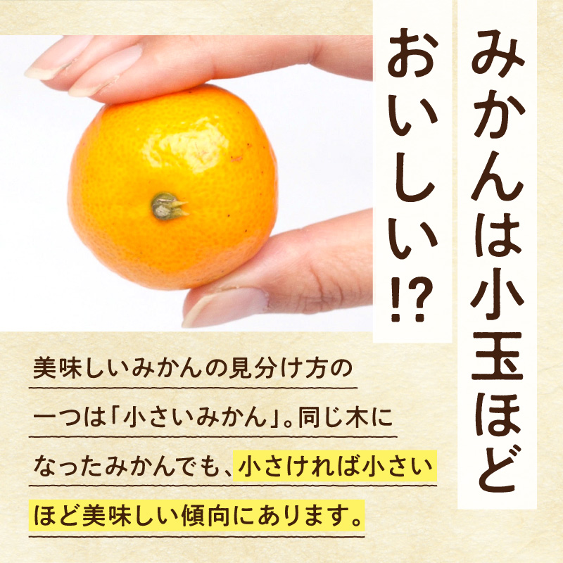 家庭用 小玉な有田みかん約7.5kg+250g（傷み補償分）【わけあり・訳あり】【光センサー選果】_ZH7062