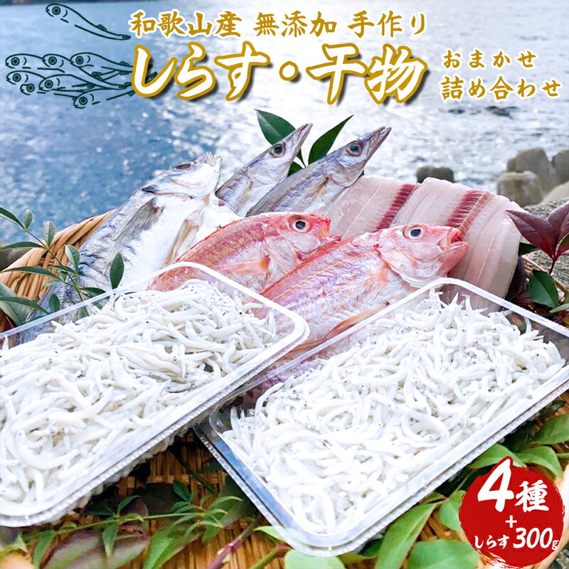 しらす ・ 干物 おまかせ詰め合わせ セット A_DL6001n