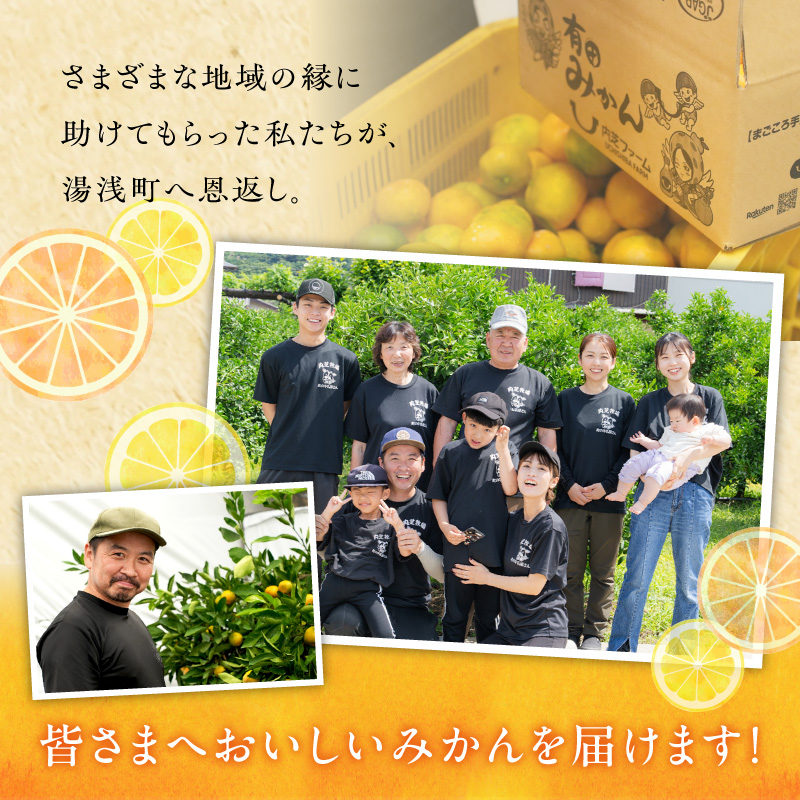 【2027年先行予約】【まごころ手選別】　せとか　約3kg　秀品_ZE6499