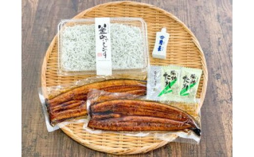 うなぎ蒲焼2本と釜揚げしらす300gコラボセット 【角長特製醤油タレ付き】【湯浅町×有田川町】   ※着日指定不可_E6101n