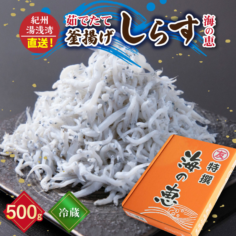 【冷蔵】 茹でたて 釜揚げしらす 海の恵み 500g 紀州湯浅湾直送！【しらす干し ちりめんじゃこ シラス】_C6039n