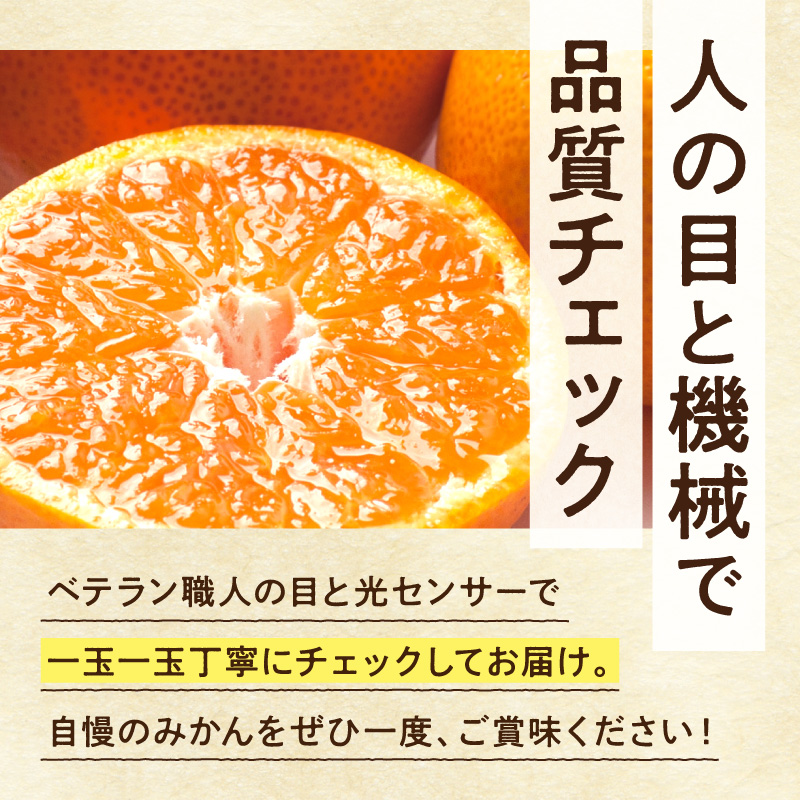 厳選 完熟有田みかん約5kg+250g（傷み補償分）【光センサー選果】_ZH7124