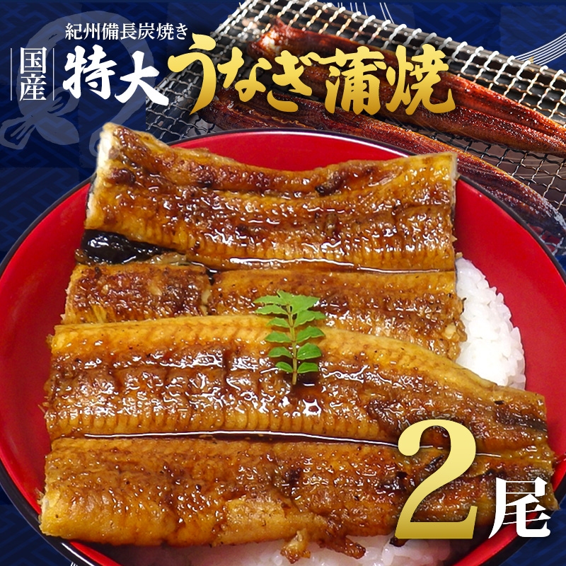 紀州備長炭焼き 特大 うなぎ 蒲焼き(国産)【鰻 ウナギ 丑の日 土用 蒲焼き 関西風 冷凍】_R6102