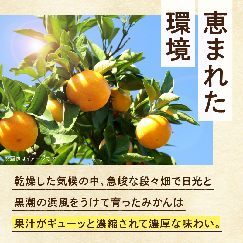 家庭用 完熟有田みかん約2.5kg+250g（傷み補償分）【わけあり・訳あり】【光センサー選果】_ZH7127