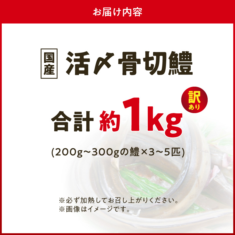【訳アリ・業務用】活〆 加熱用 国産 骨切鱧 約1kg （200g〜300g程の大きさの鱧を3〜5匹）_SD1009