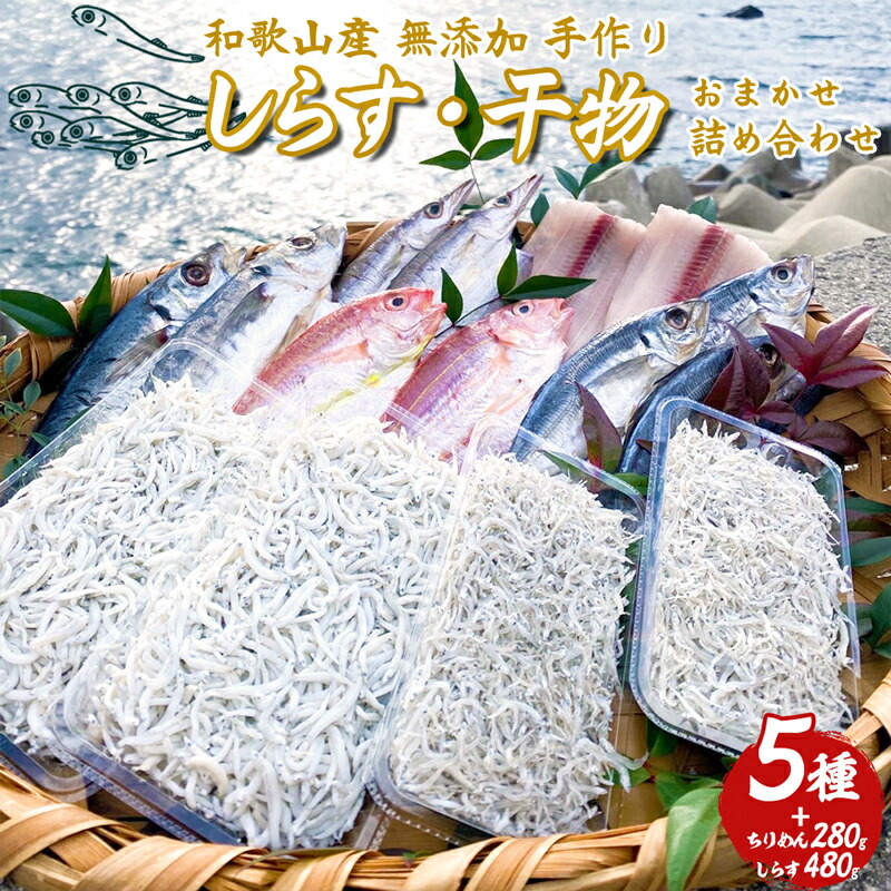 しらす ・ 干物 おまかせ詰め合わせ セット C _DL6003