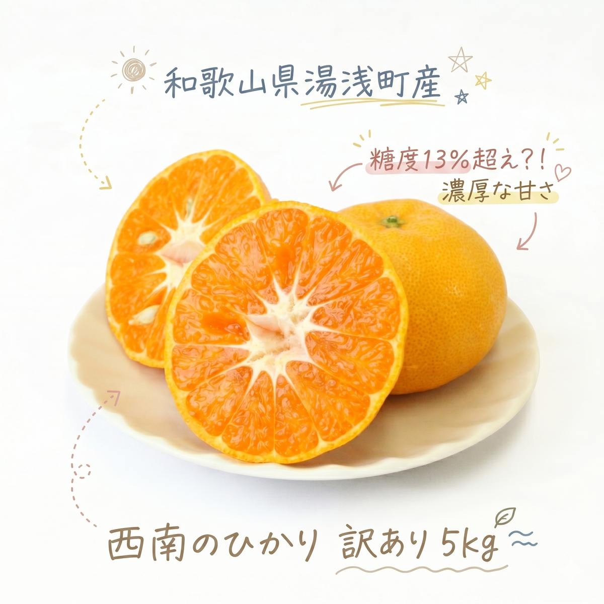 【2026年先行予約】《訳あり 家庭用》西南のひかり 約5kg（S～2Lサイズ混合）_EQ6008