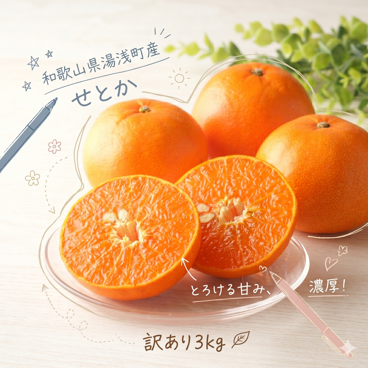 【2027年先行予約】《訳あり 家庭用》せとか 約3kg（S～2Lサイズ混合）_EQ6001