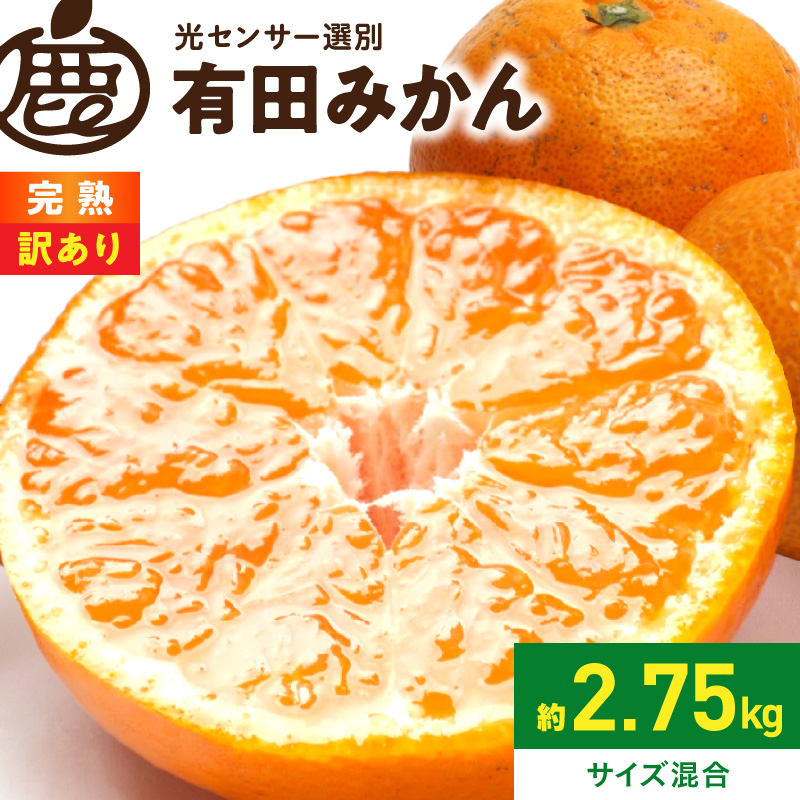 家庭用 完熟有田みかん約2.5kg+250g（傷み補償分）【わけあり・訳あり】【光センサー選果】_ZH7127