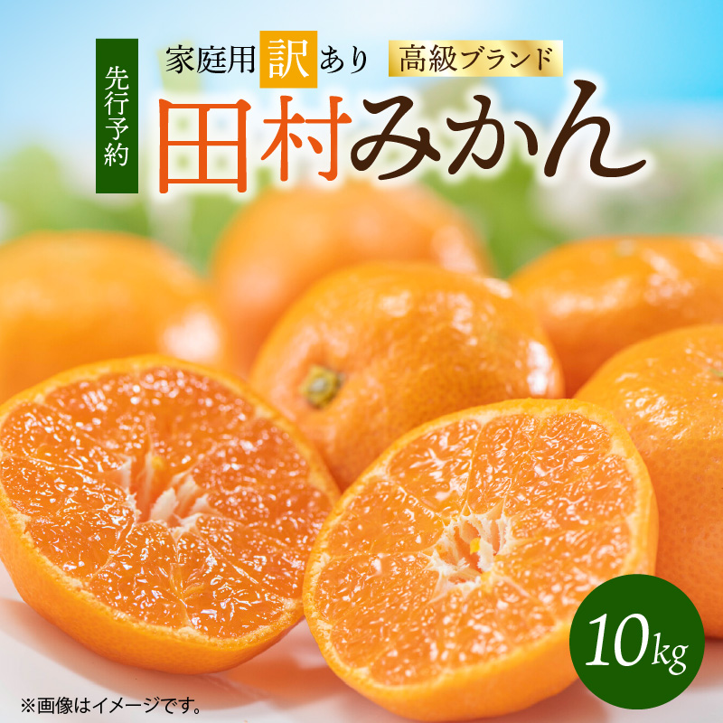 【2026年11月下旬より発送】高級ブランド 田村みかん 10kg【家庭用 訳あり】_G7053