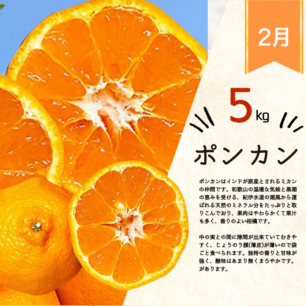 【定期便 全3回】紀州和歌山産旬の柑橘セット（みかん・ポンカン・レモン）_G60-T42
