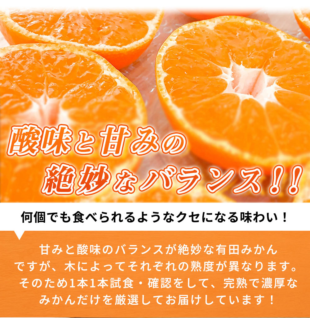 【2026年11月下旬頃より発送】完熟 有田みかん 10kg_G7047