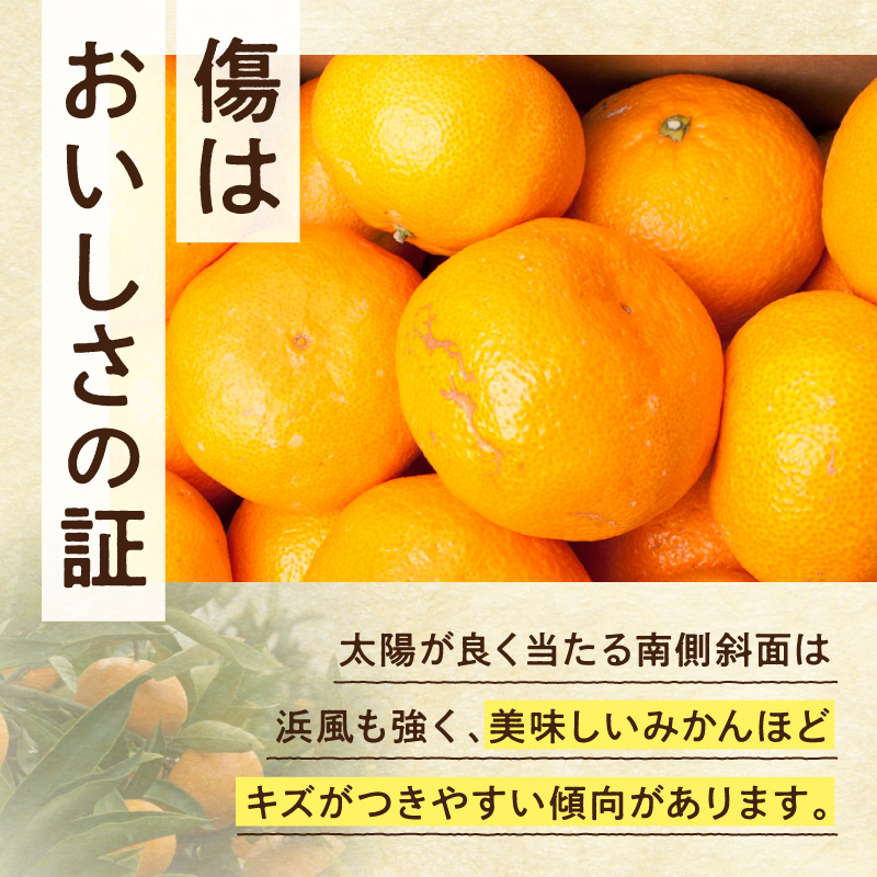 家庭用 大きな有田みかん約10kg+250g（傷み補償分）【わけあり・訳あり】【光センサー選果】_ZH7120