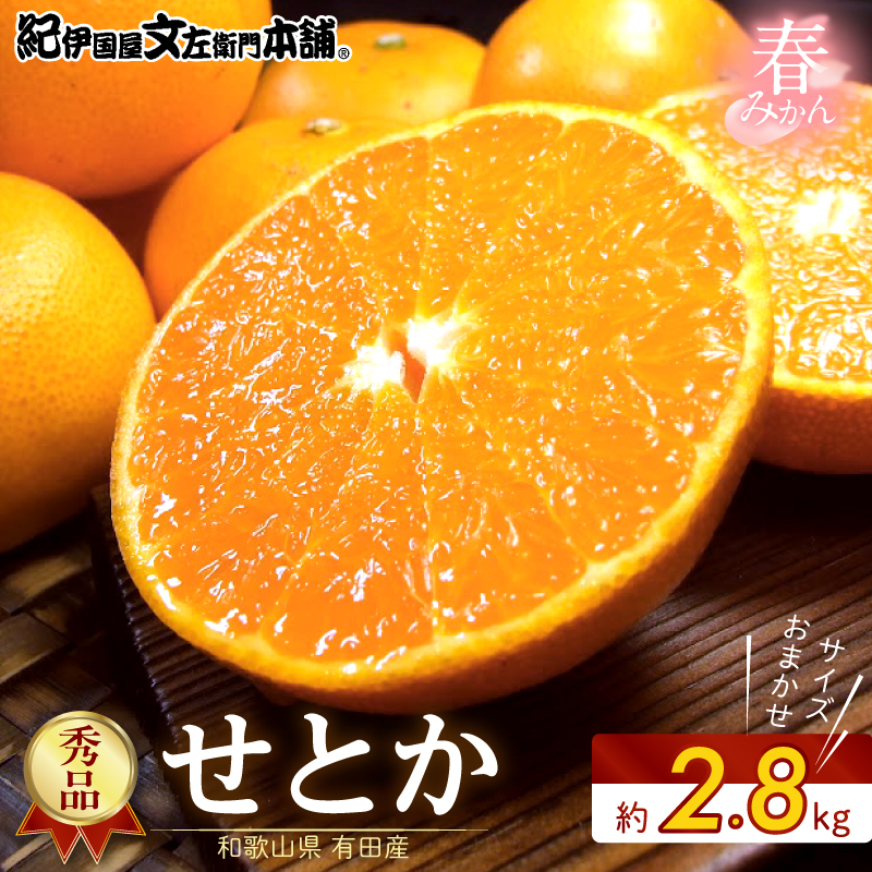【2027年先行予約】せとか 秀品 約2.8kg 和歌山県有田産 春みかん 春柑橘 (果実サイズおまかせ)/紀伊国屋文左衛門本舗_V7411