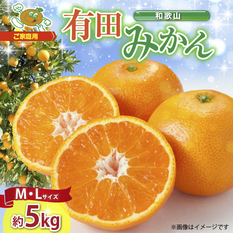 【2026年先行予約】ご家庭用　和歌山 有田みかん 約5kg (M、Lサイズ)【湯浅町】_ZJ6083