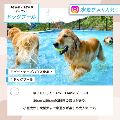 ペットと泊まるログコテージの宿『パートナーズハウスゆあさ』ペア宿泊券（1泊2食付）【チケット 券 宿泊 宿泊券 旅行 旅行券 利用券 支援 返礼品 お礼の品 楽天ふるさと 楽天ふるさと納税 温泉 旅館 トラベル お風呂】_AL6010