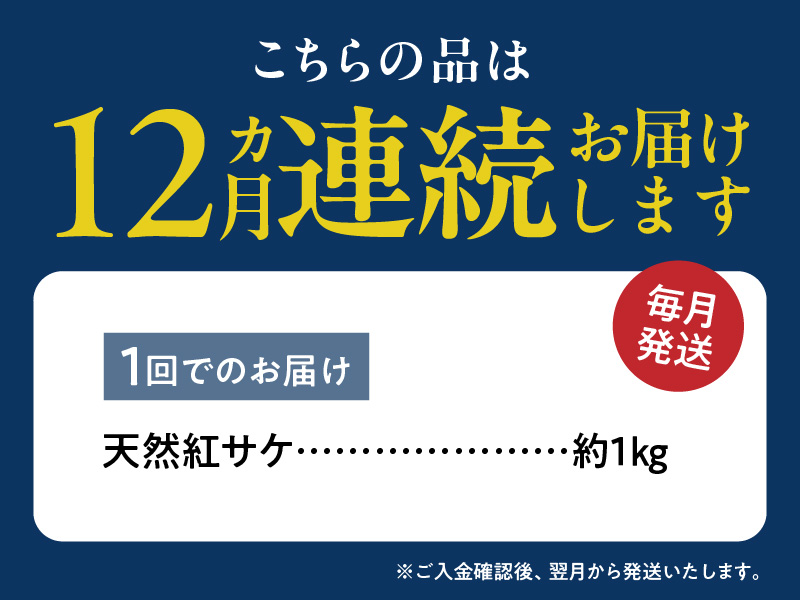 脂と旨みたっぷり！魚鶴仕込の天然 紅サケ 紅鮭 鮭 サーモン 切身 切り身 約1kg　 全12回定期便_G60-T87