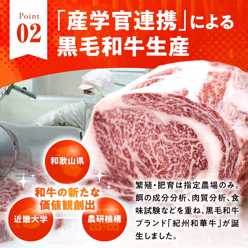 紀州和華牛　焼肉用　食べ比べ　6種盛り　600g_BN6128
