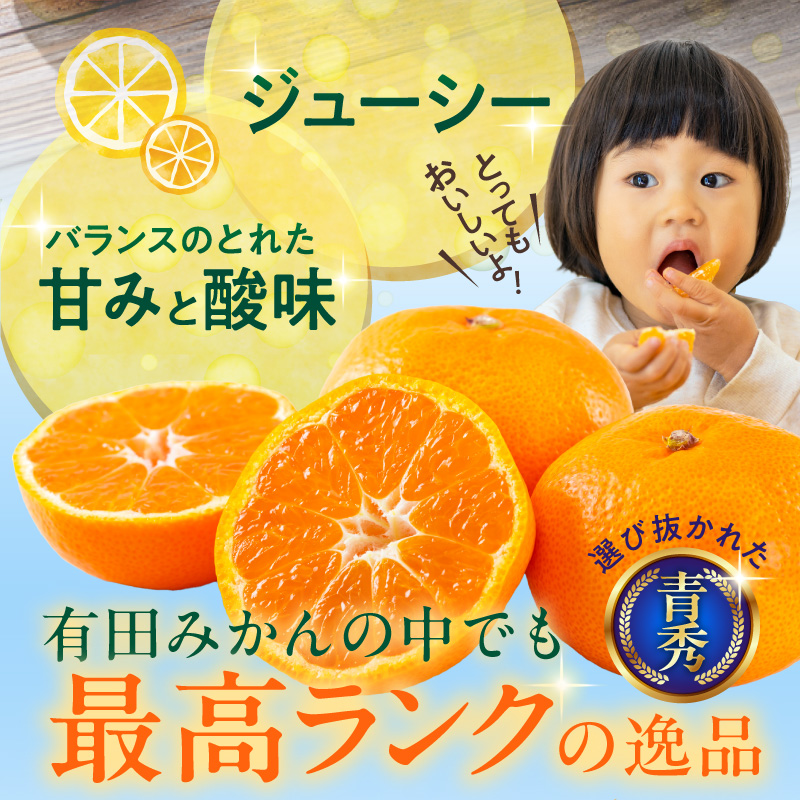 【2026年先行予約】「高級 田村みかん」 青秀 約5kg Lサイズ 和歌山県有田産 有田みかん_U6243n