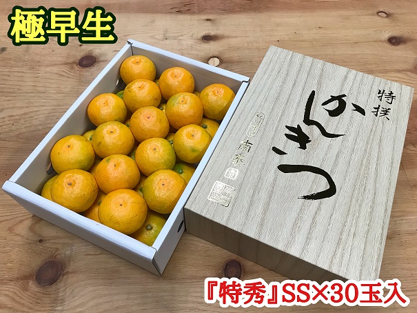 極早生 みかん 有田 化粧箱 小箱 特秀 SSサイズ 約2kg 30玉入 南泰園_ZF6024n