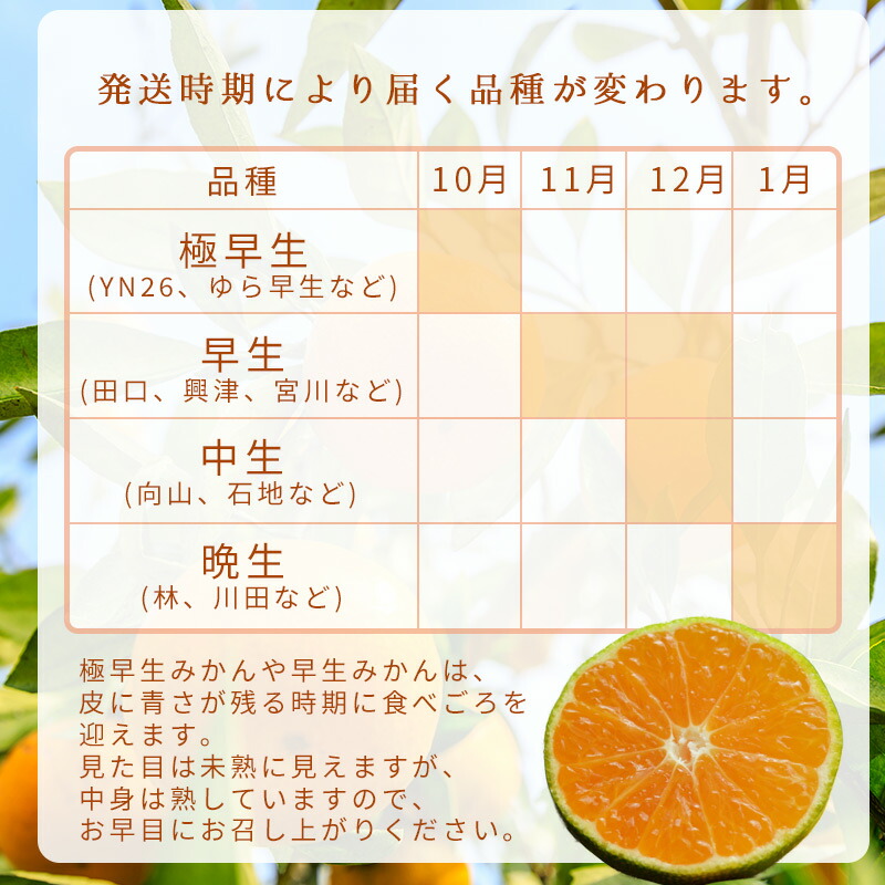 【2026年先行予約】ご家庭用 有田みかん 大玉(2L,3Lサイズ混合) 約9kg_DZ6217
