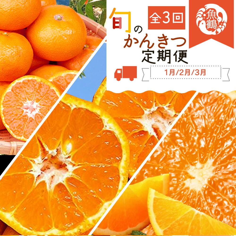 【定期便 全3回】紀州和歌山産旬の柑橘セット（みかん・ポンカン・清見）_G60-T32