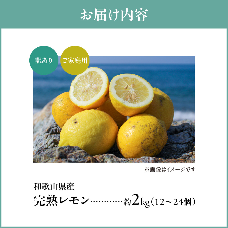 【2027年先行予約】【訳あり・ご家庭用】完熟 レモン 2kg 皮まで使用可能（栽培期間中農薬不使用）_EA6021n