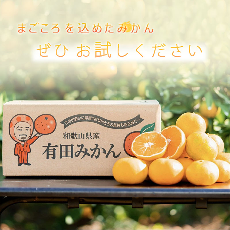 【2027年先行予約】和歌山県産 有田の八朔 (はっさく) 約10kg【2L～4Lサイズ混合】まごころ手選別 _ZE6155n