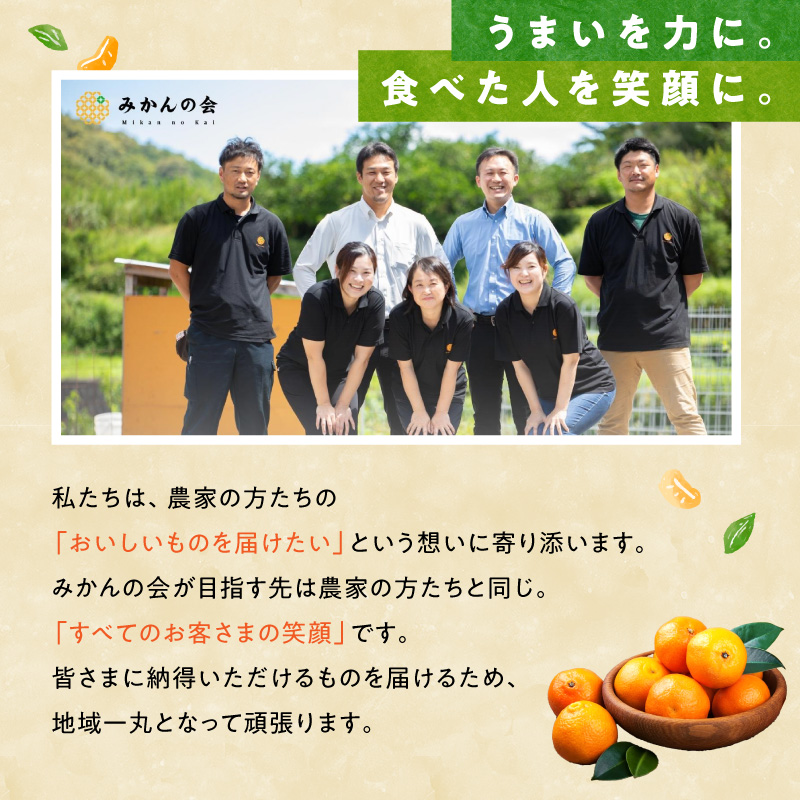 【2026年先行予約】訳あり それでも みかん 箱込 7.5kg ( 内容量 6.8kg ) サイズミックス Ｂ品 有田みかん 和歌山県産 産地直送 家庭用【みかんの会】_MK1049