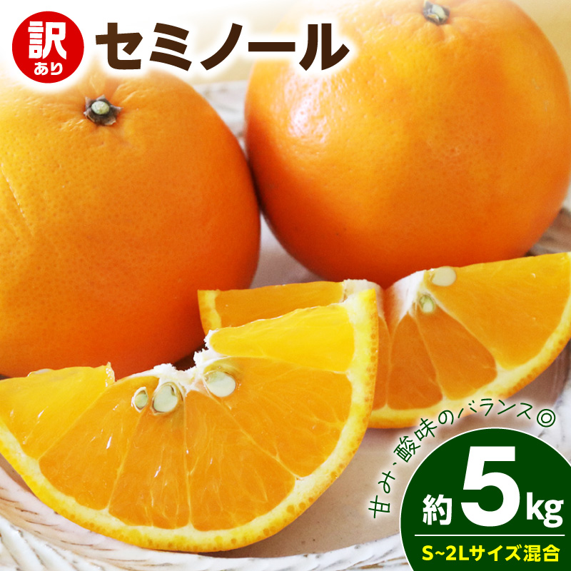 【2027年先行予約】《訳あり 家庭用》セミノール 約5kg（S～2Lサイズ混合）_EQ6010