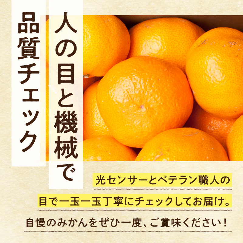 家庭用 大きな有田みかん約10kg+250g（傷み補償分）【わけあり・訳あり】【光センサー選果】_ZH7120