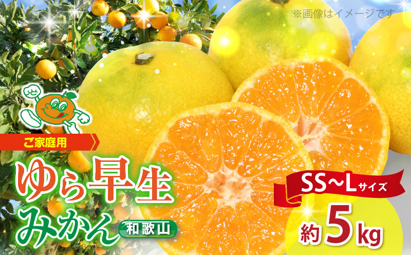【2026年先行予約】【ご家庭用 極早生】和歌山 有田ゆら早生みかん 約5kg (SS、S、M、Lサイズ)【湯浅町】_ZJ1012n