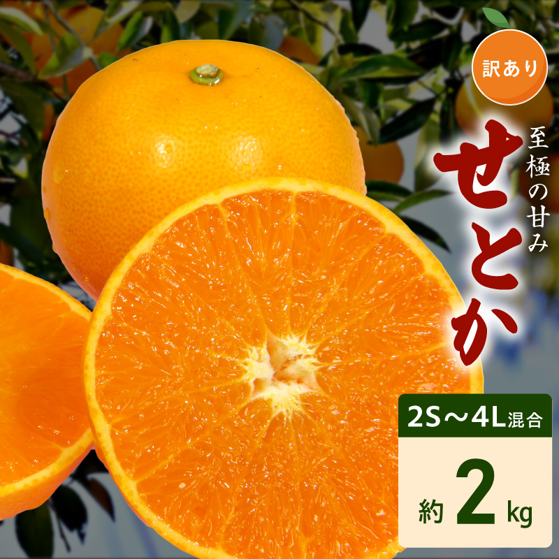 【2027年先行予約】訳あり せとか 和歌山 有田 2S～4Lサイズ混合 約2kg_DZ6230
