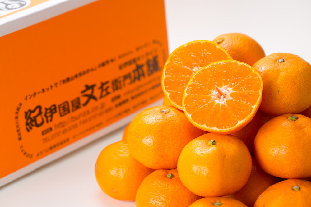 【2026年先行予約】ブランド有田みかん 秀品 約2.8kg【サイズおまかせ】/ 産地直送 / 薄皮で甘い美味しい和歌山県産 / 紀伊国屋文左衛門本舗_V7439