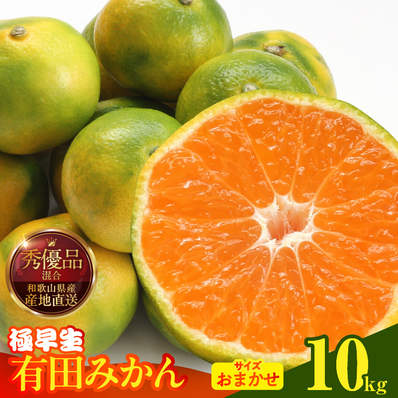 みかん 極早生 箱込10kg（内容量9.2kg）おまかせサイズ（S/M/L）秀品・優品 の混合 有田みかん 和歌山県産_MK1070