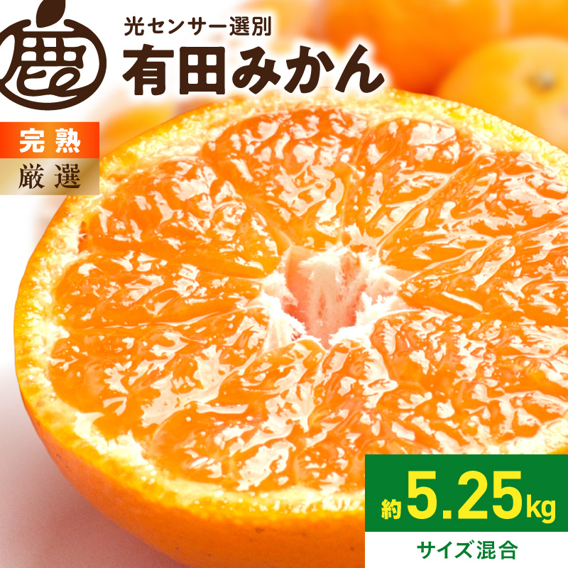厳選 完熟有田みかん約5kg+250g（傷み補償分）【光センサー選果】_ZH7124