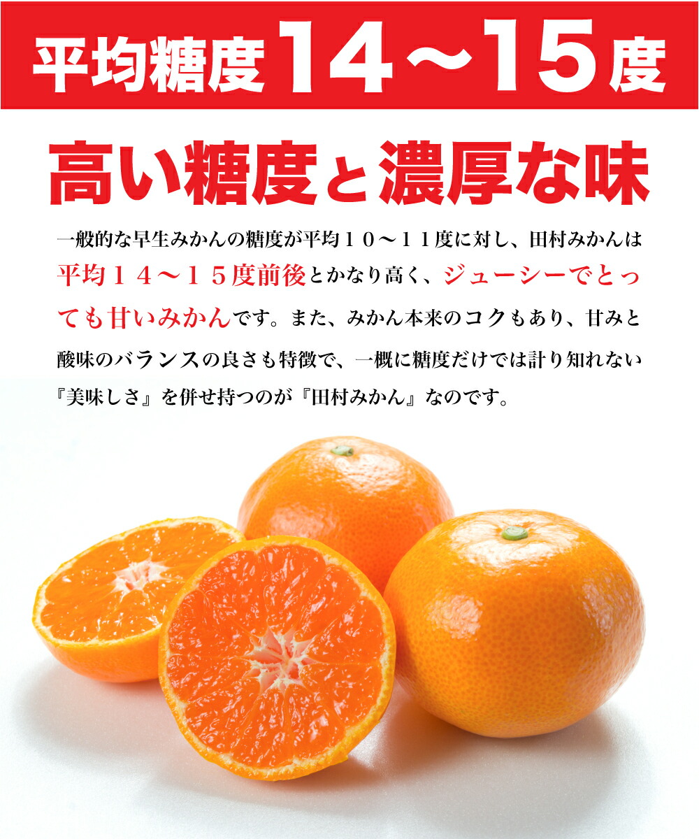 【2026年先行予約】「高級 田村みかん」 青秀 約10kg Lサイズ 和歌山県有田産 有田みかん_U6246