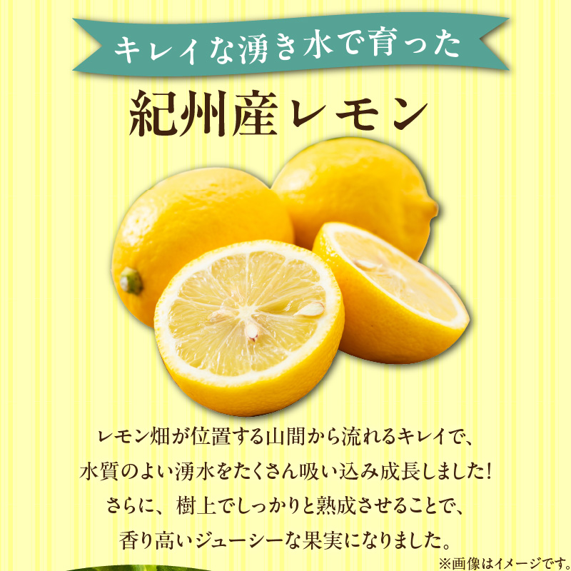 【2027年先行予約】【訳あり・ご家庭用】完熟 レモン 2kg 皮まで使用可能（栽培期間中農薬不使用）_EA6021n