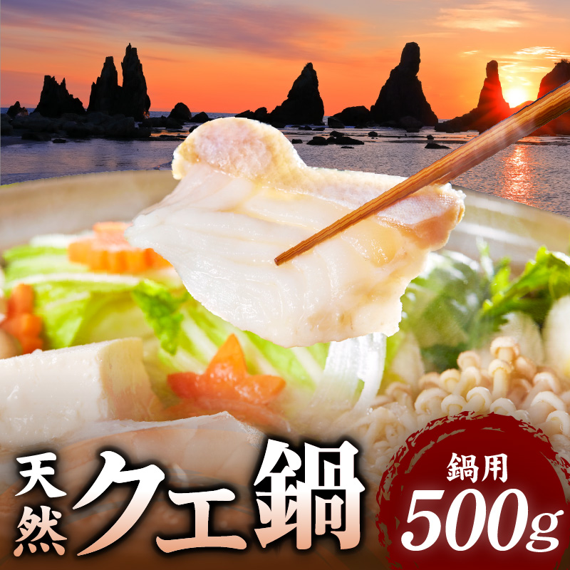 天然 クエ鍋 500g くえ鍋セット 幻の魚 魚 くえ鍋専門店 鍋用 上品 安定の品質 和歌山 湯浅町 _R1002