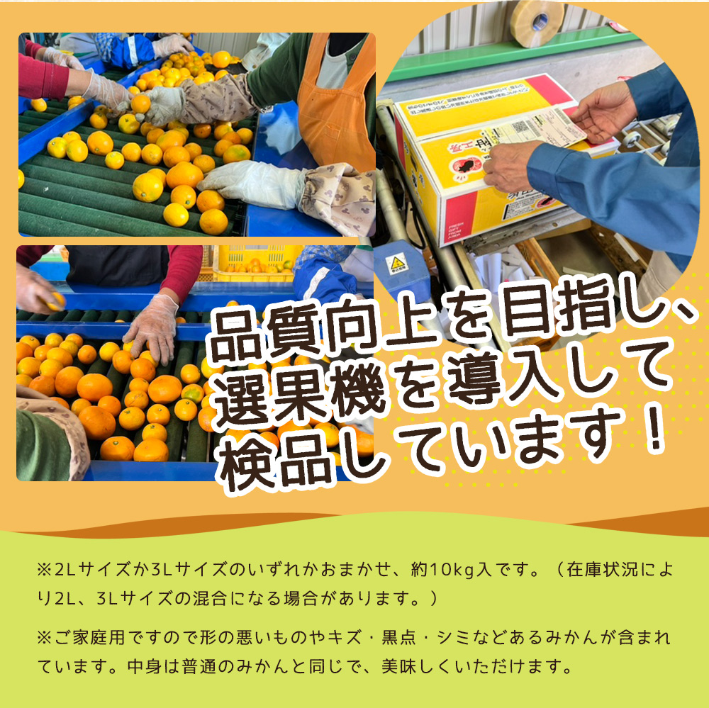 【2026年先行予約】ご家庭用　和歌山 有田みかん 約10kg (2L、3Lサイズ)【湯浅町】_ZJ6079