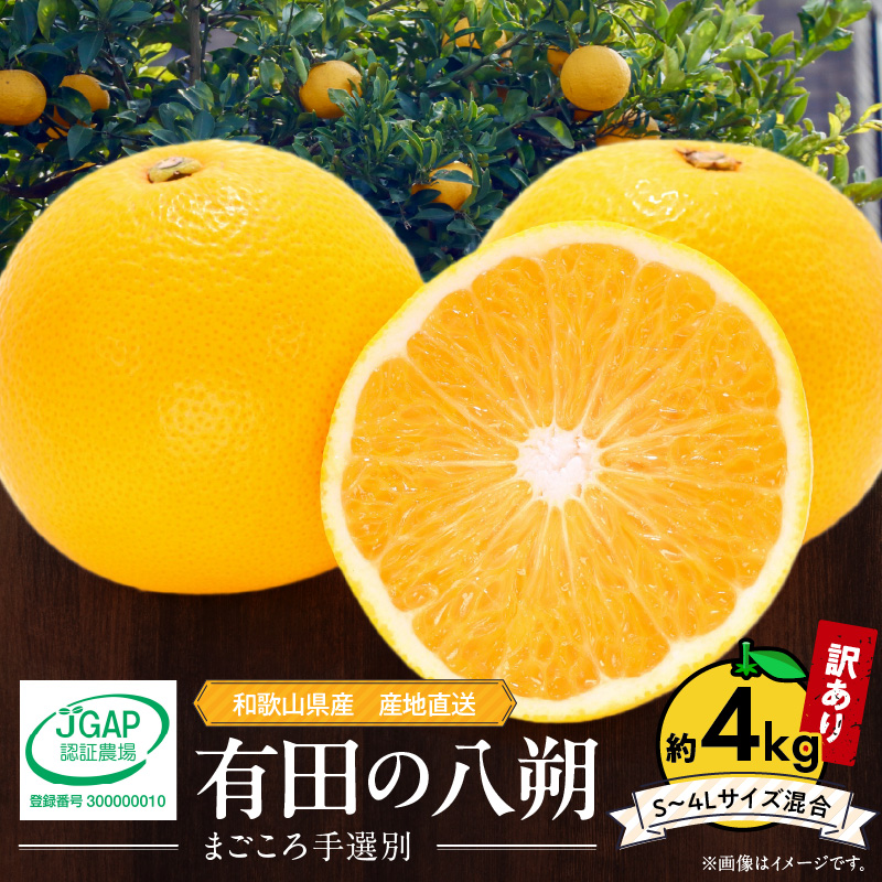 【2027年先行予約】和歌山県産 有田の八朔 (はっさく)【訳あり 家庭用】約4kg【S～4Lサイズ混合】まごころ手選別 _ZE6379n