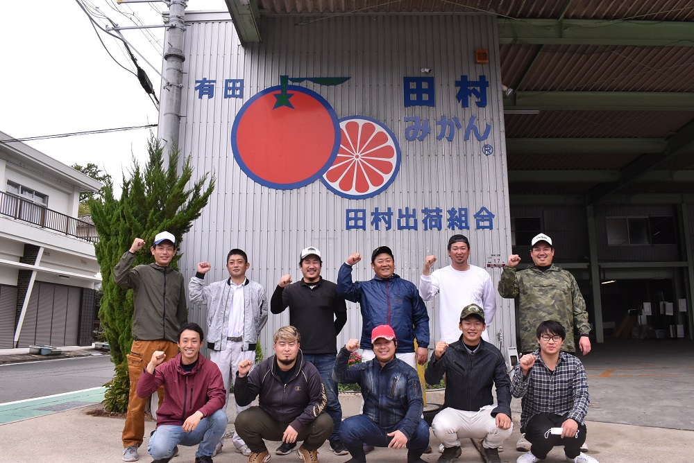 【2026年先行予約】「高級 田村みかん」 青秀 約10kg Lサイズ 和歌山県有田産 有田みかん_U6246