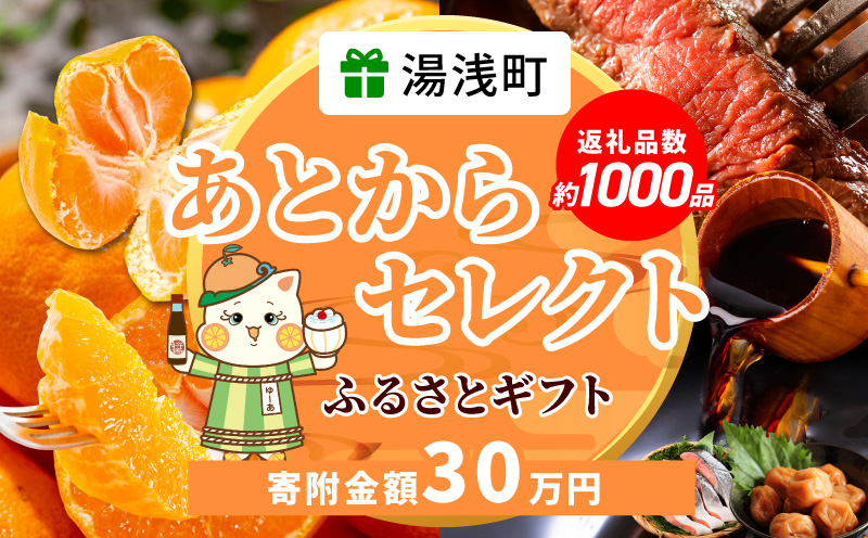 あとからセレクト【ふるさとギフト】30万円_ZZ1016