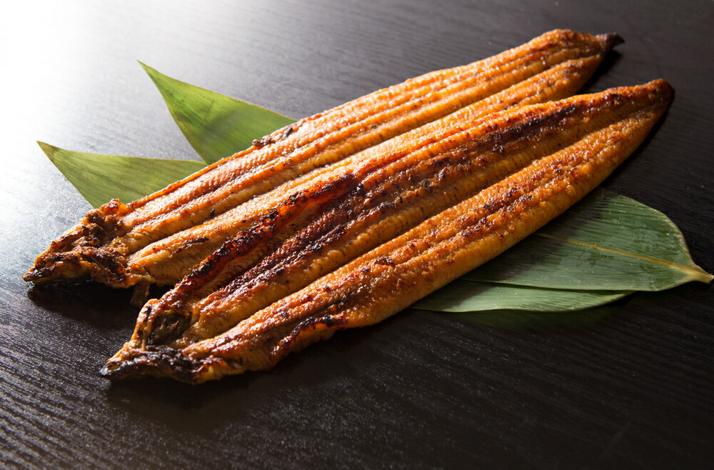炭焼き うなぎ 蒲焼 大サイズ 5尾 セット（約150～199g×5尾）タレ・粉山椒付き　国産鰻　冷凍ウナギ　1尾ずつ真空パック　土用の丑の日　紀伊国屋文左衛門本舗_V7304