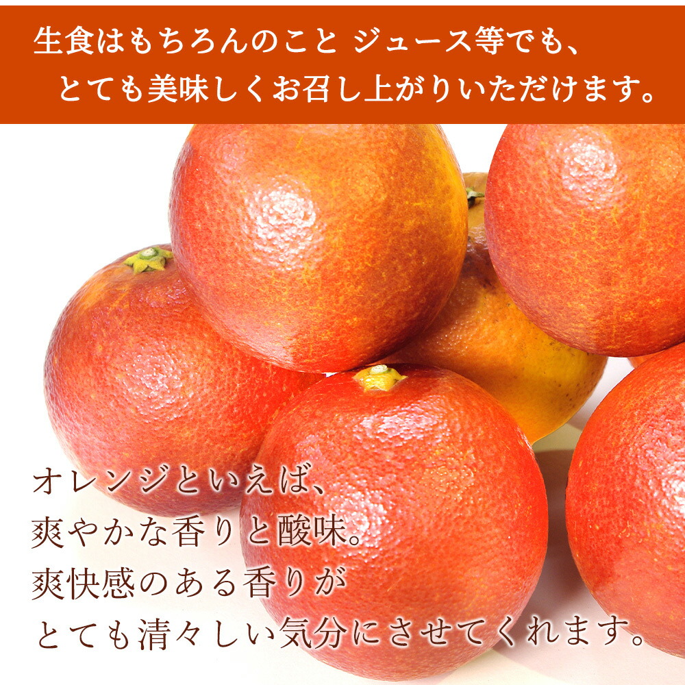 【2027年先行予約】希少な柑橘！ 紀州 有田産 ブラッドオレンジ 3kg 【訳あり・ご家庭用】_G7070