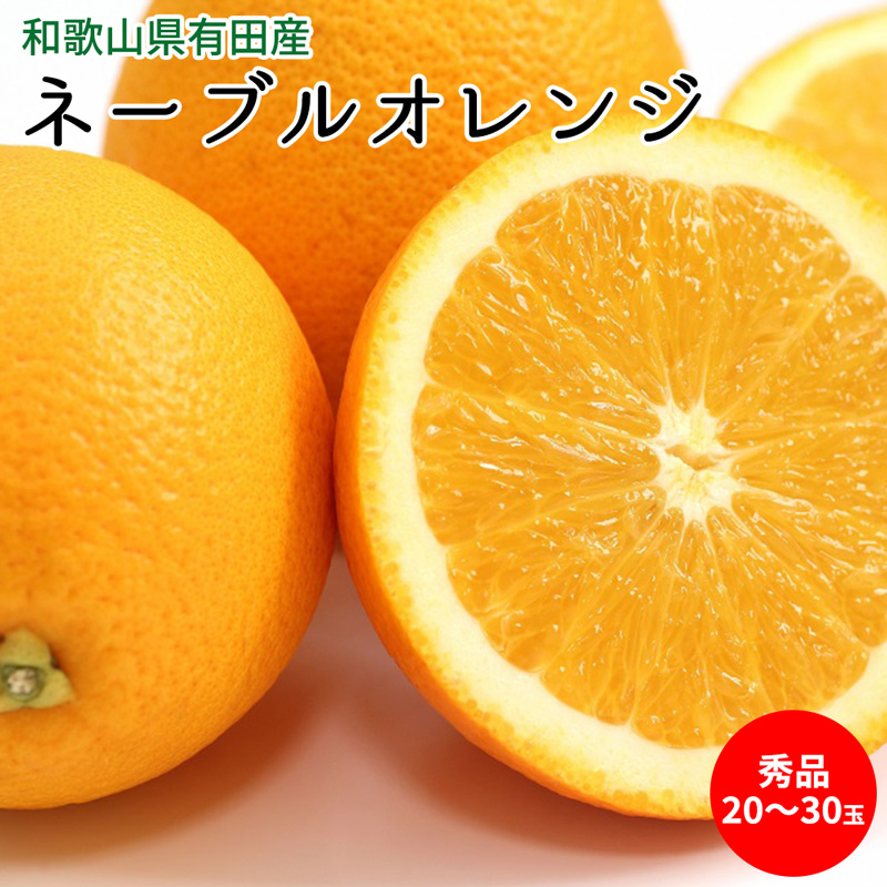 【2027年先行予約】ネーブルオレンジ 秀品 20～30玉 和歌山県有田産_U6235n