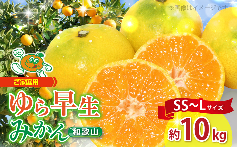【2026年先行予約】【ご家庭用 極早生】和歌山 有田ゆら早生みかん 約10kg (SS、S、M、Lサイズ)【湯浅町】_ZJ1016n